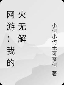 网游：我的火无解