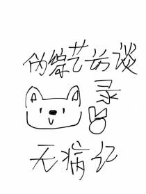 伪综艺访谈录