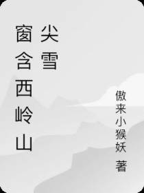 窗含西岭山尖雪