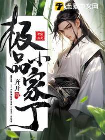 极品小家丁