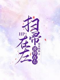 HP：扫帚在左,波特在右