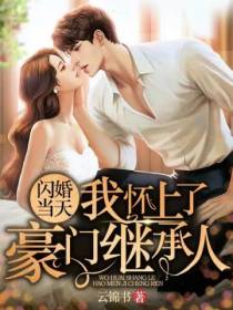 闪婚当天，我怀上了豪门继承人云锦书