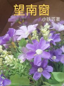 望南窗