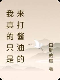 我真的只是来打酱油的