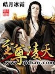至尊凌天