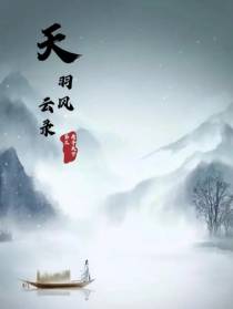 天羽风云录