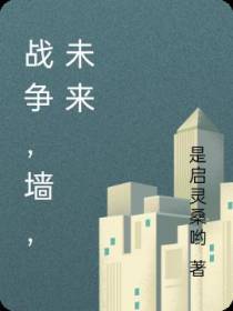 战争,墙,未来