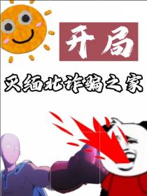 开局,灭缅北诈骗之家