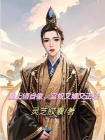 皇上请自重,宫奴又媚又正经