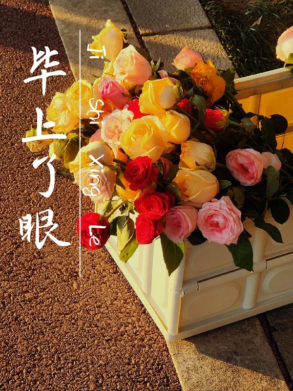 毕上了眼