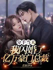 分手当天我闪婚了亿万豪门总裁