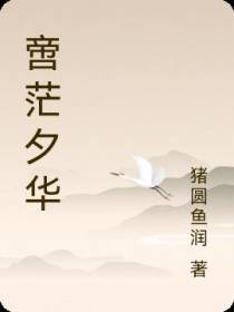 啻茫夕华