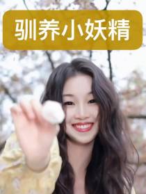 驯养小妖精