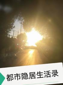 重生都市隐居生活