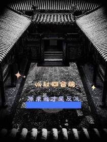冰封四合院,原来我才是反派？