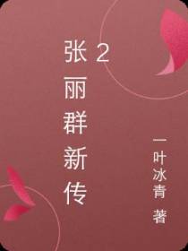 张丽群新传2