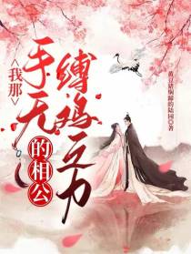 我那手无缚鸡之力的相公