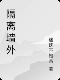 隔离墙外