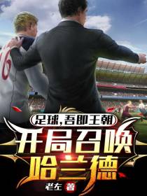 足球：吾即王朝,开局召唤哈兰德