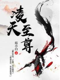 凌天骄子叶风