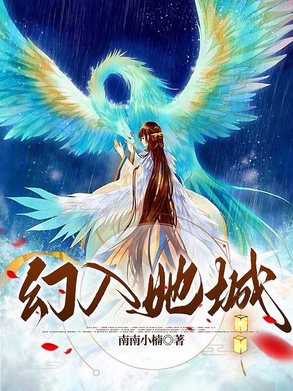 幻入她城