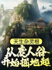 凡人飞升录秦天