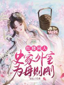红楼同人,史家外室为母则刚