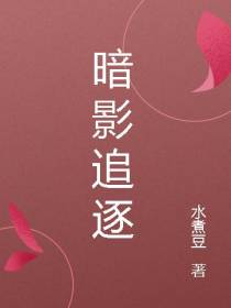 暗影追逐