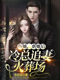 伤她,虐她后冷总追妻火葬场
