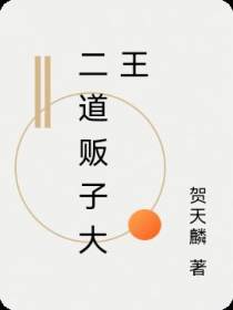 二道贩子大王