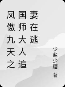 凤傲九天之国师大人追妻在逃