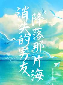 消失的男友：降落那片海