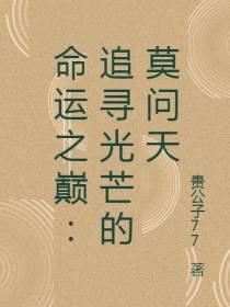 命运之巅：追寻光芒的莫问天