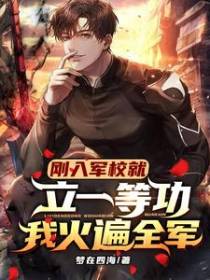 主角林望小说