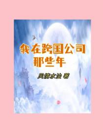 我在跨国公司那些年