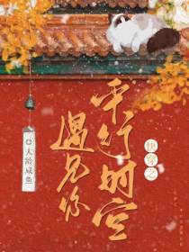 快穿之平行时空遇见你