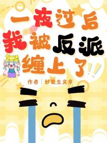 一夜过后,我被反派缠上了