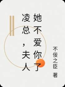 凌总,夫人她不爱你了