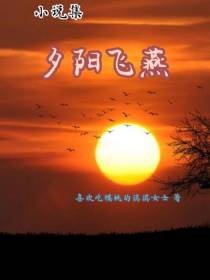 夕阳飞燕