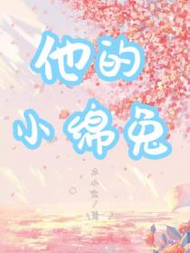他的小绵兔