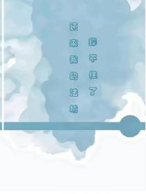 还来,我的法域撑不住了