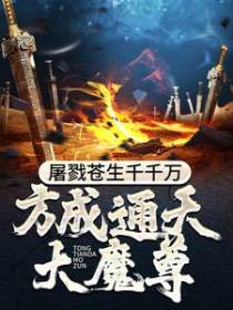 有一部小说主角是无极宗的