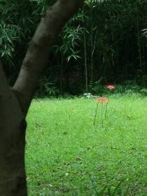 穿书七零,你们不要过来啊
