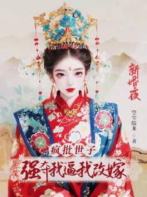 新婚夜,疯批世子强夺我逼我改嫁