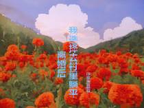 离婚后我选择去村里躺平