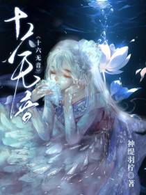 十六无音