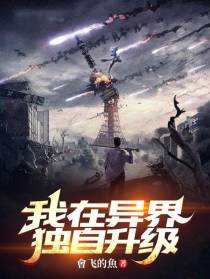 我在异界独自升级