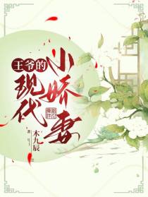 王爷的现代小娇妻