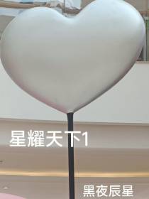 星耀天下1
