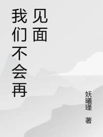 我们不会再见面